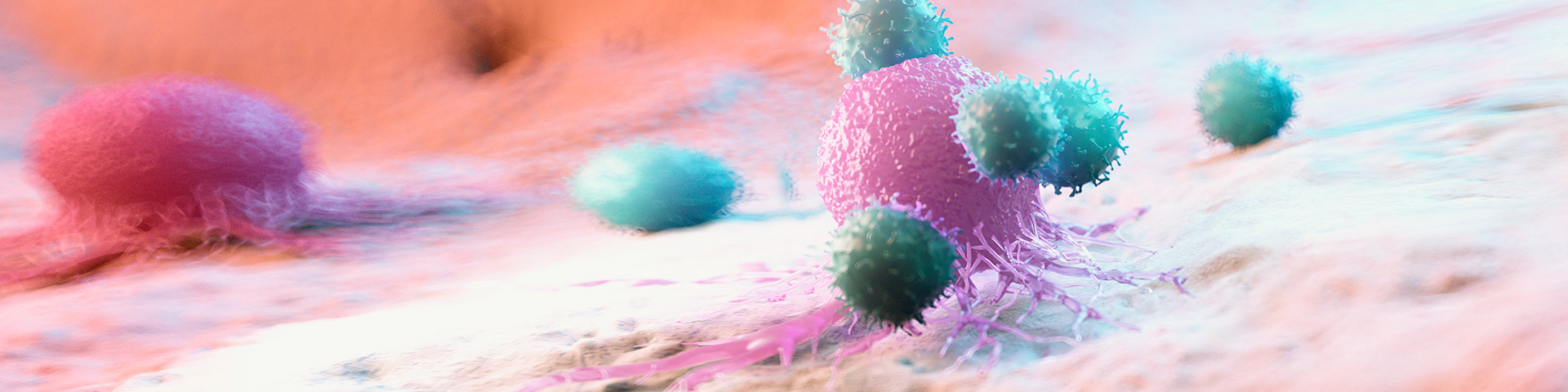 AG8����_AG8���޼��š�(�й���)�ٷ���վ