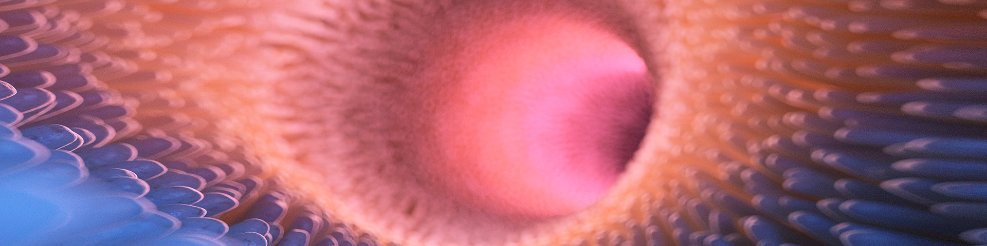 AG8����_AG8���޼��š�(�й���)�ٷ���վ