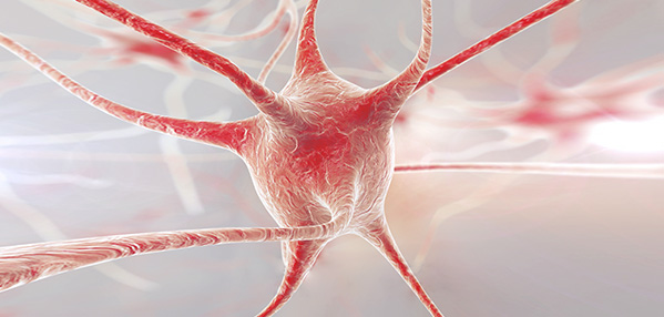 AG8����_AG8���޼��š�(�й���)�ٷ���վ