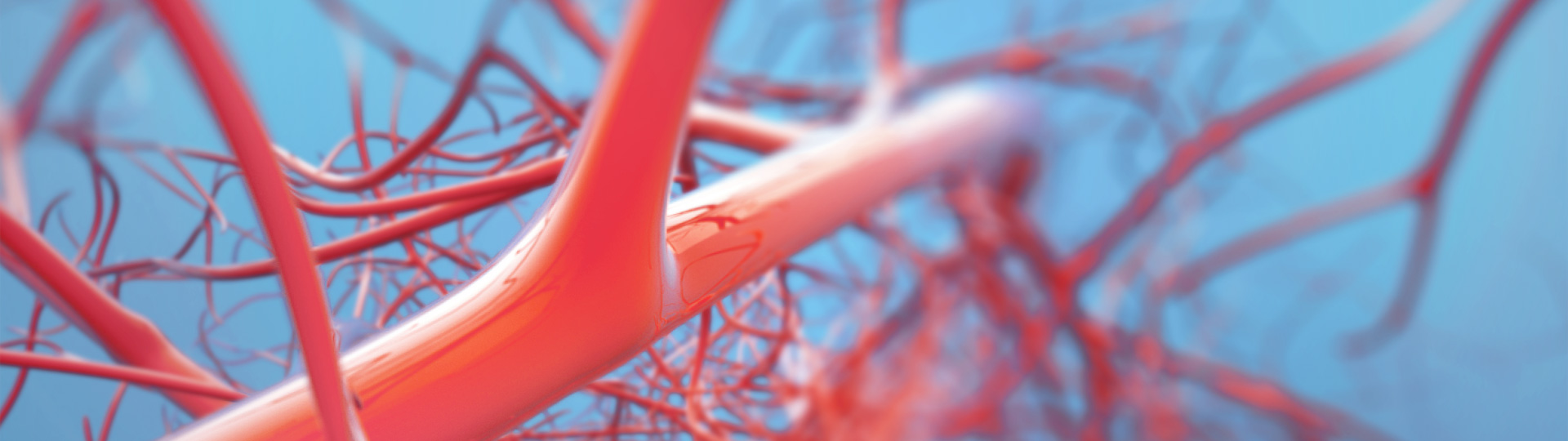 AG8����_AG8���޼��š�(�й���)�ٷ���վ