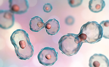 AG8����_AG8���޼��š�(�й���)�ٷ���վ