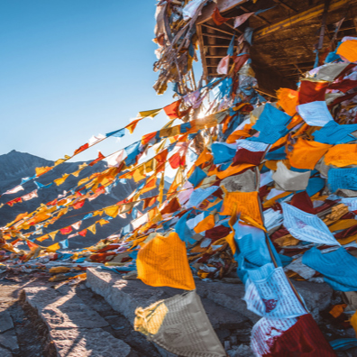 AG8����_AG8���޼��š�(�й���)�ٷ���վ