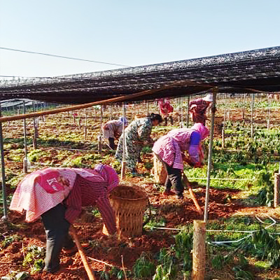 AG8����_AG8���޼��š�(�й���)�ٷ���վ