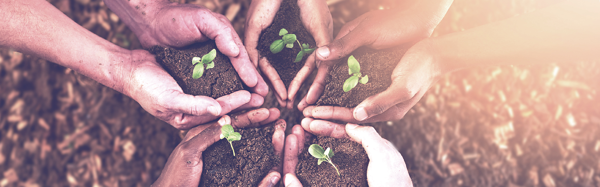 AG8����_AG8���޼��š�(�й���)�ٷ���վ